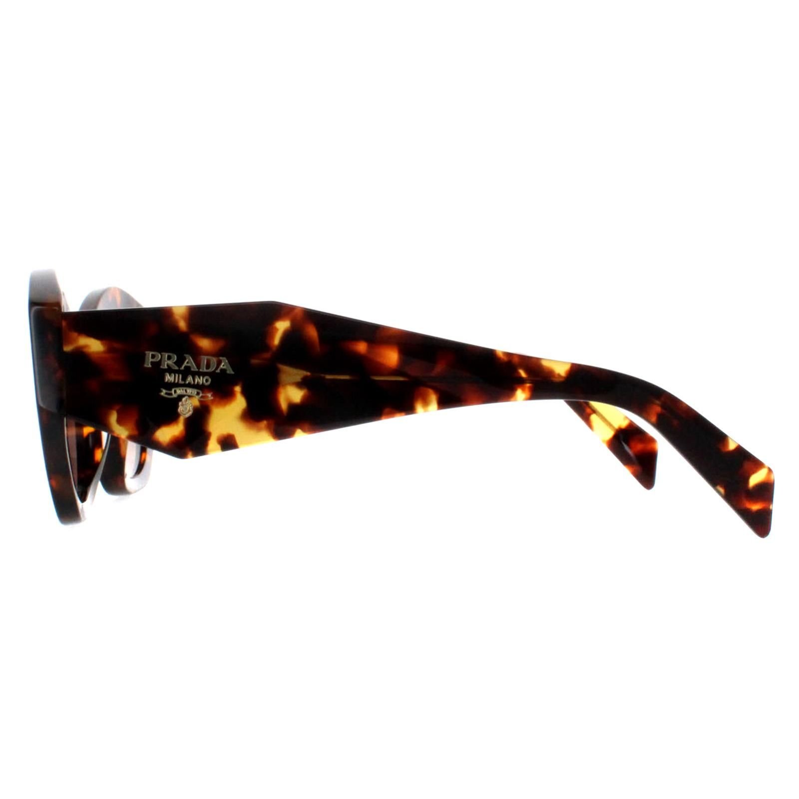 Prada Prada Women's Rectangle Honey Havana Brown Gradient PR07YS - 3