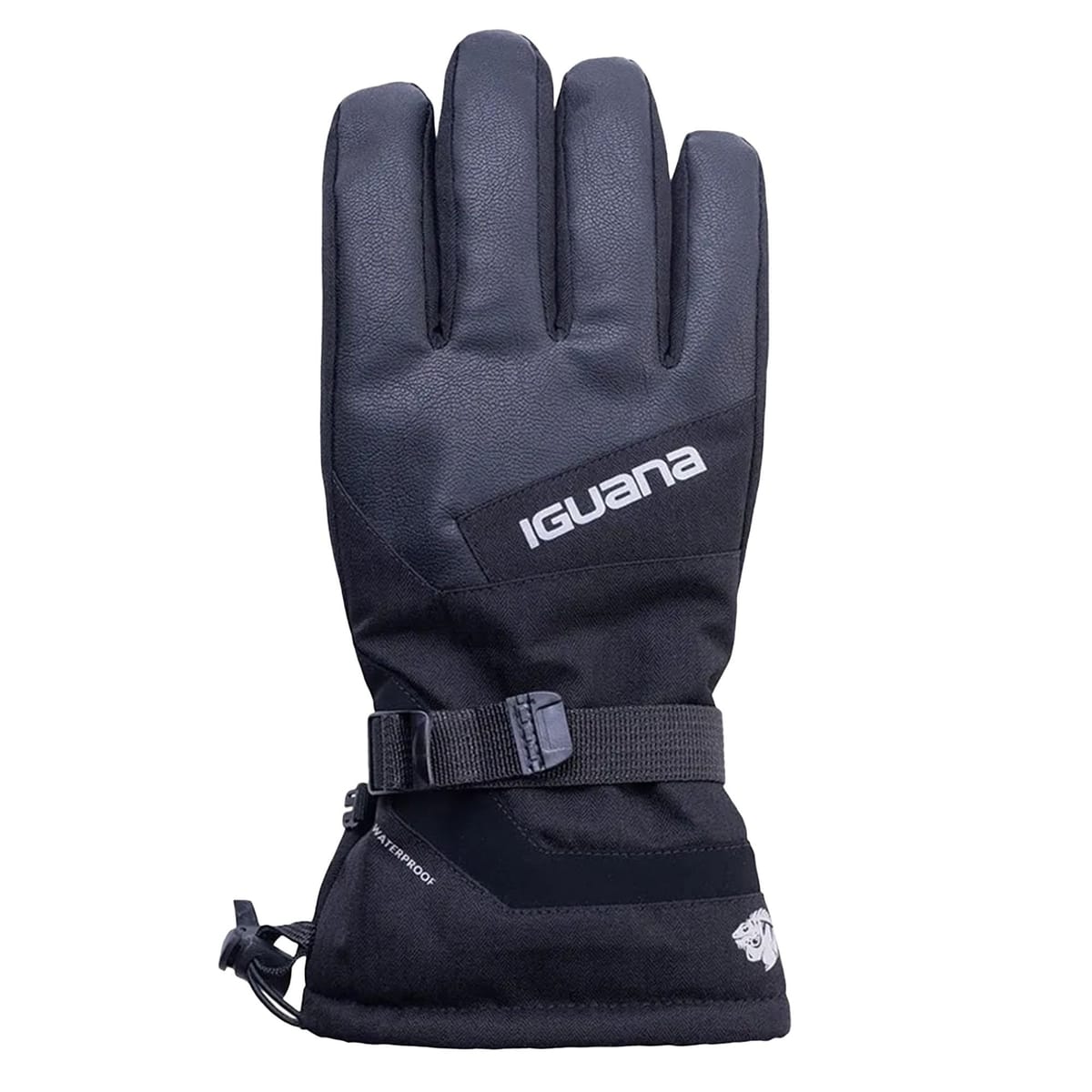 Iguana Iguana Men's Vinter Ski Gloves in Black - 1