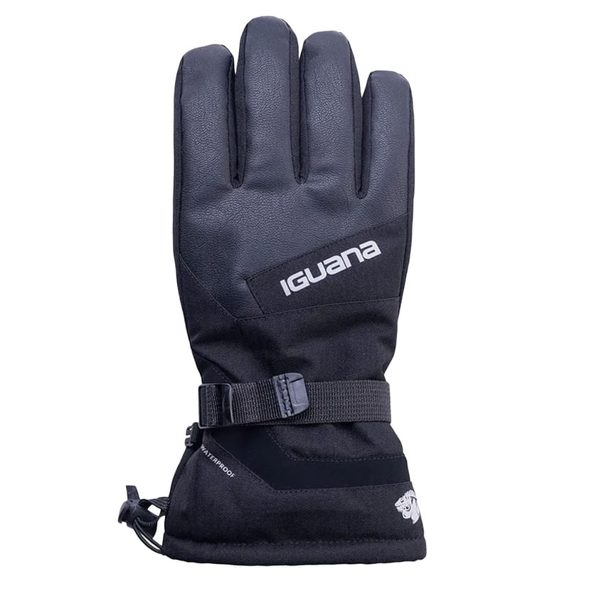 Iguana Iguana Men's Vinter Ski Gloves in Black - 1