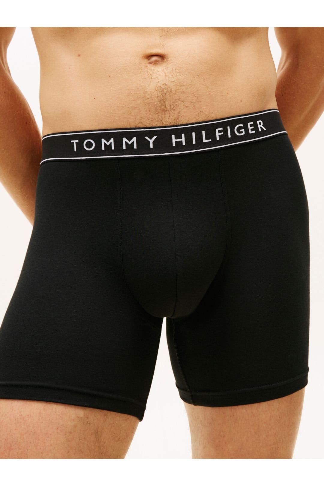 Tommy Hilfiger Tommy Hilfiger Men's 3P Boxer Brief Dtm Dtm Silver/Blue/Back - 4