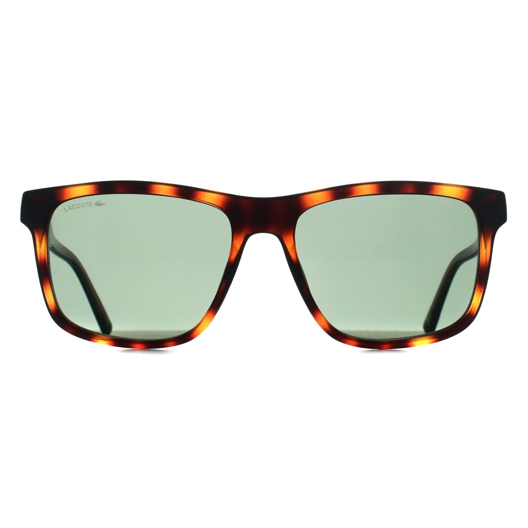 Lacoste Lacoste Men's Square Tortoise Green L6025S in Brown