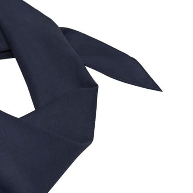 Myrtle Beach Myrtle Beach Men's Triangular Scarf in Navy - 2