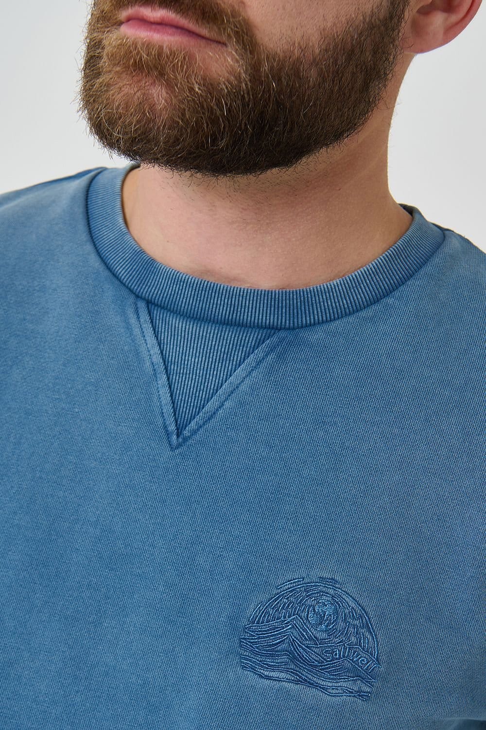 Saltwell Saltwell Men's Crew Neck Cotton Sweatshirt in Blue - 4