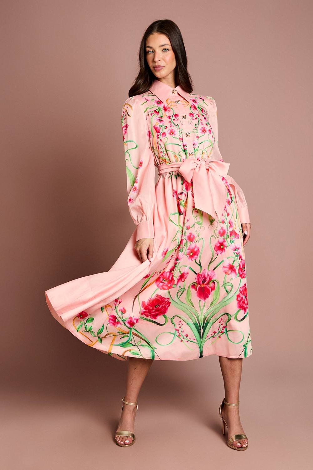 Coast Coast Women's Boarder Print Organza Shirt Dress in Blush - 2