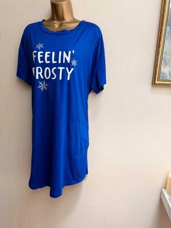 Secret Treasures Secret treasures feeling frosty blue short sleeve night shirt