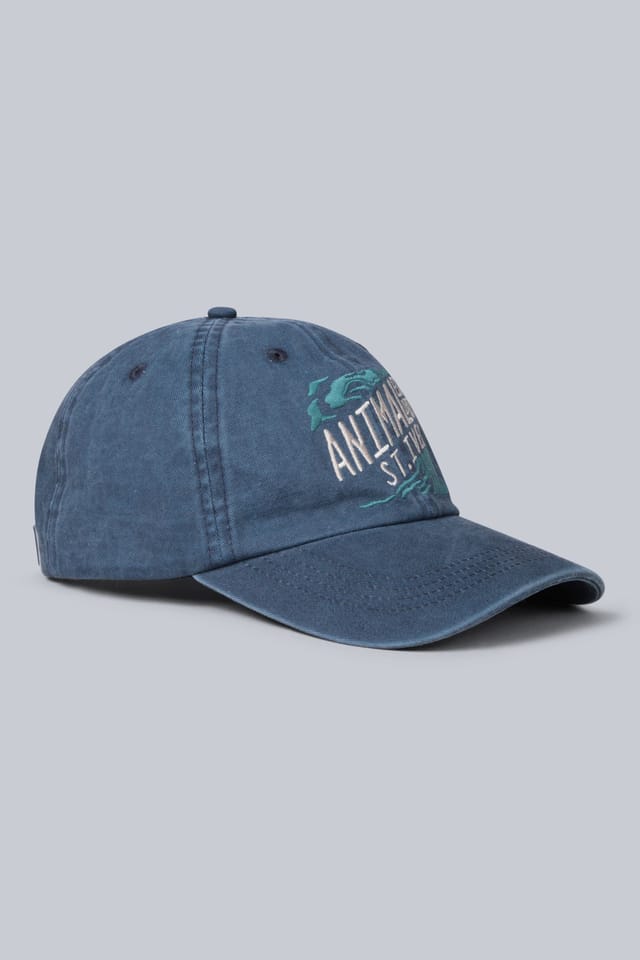 Animal Animal Men's 'St Ives' Lightweight Comfortable Adjustable Outdoor Baseball Cap in Navy - 2
