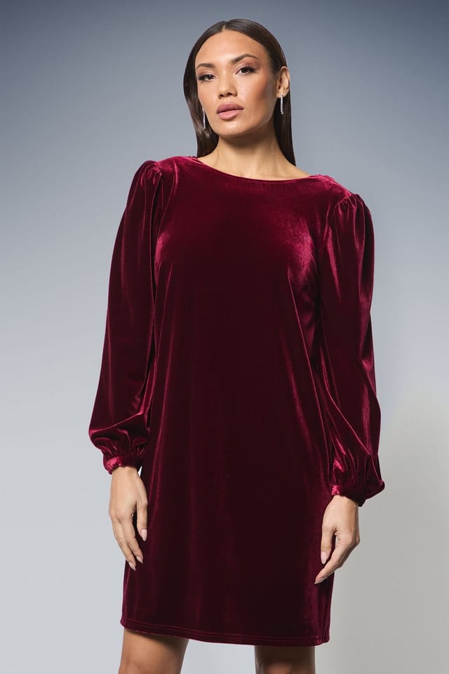 Wallis Wallis Women's Velvet Cowl Back Shift Dress in Red - 2