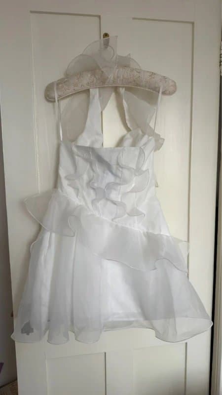 ASOS ASOS Luxe Halter neck Organza mini dress