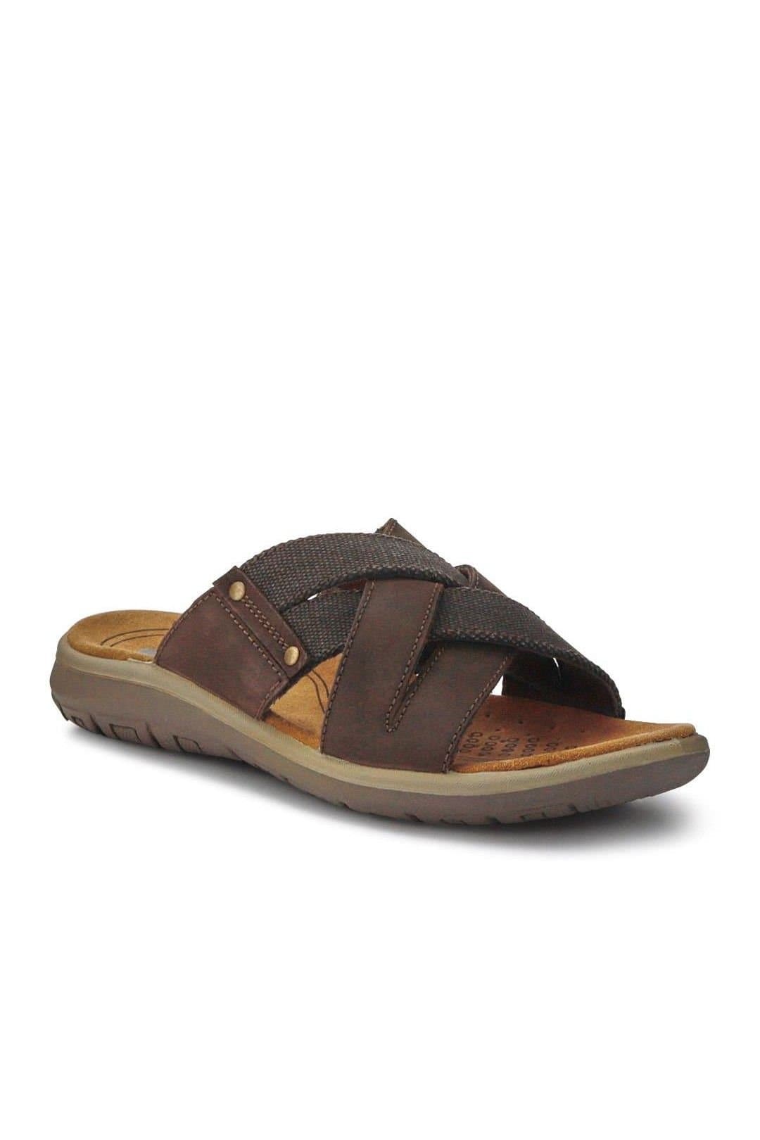 Pavers Pavers Men's Leather Mules in Brown