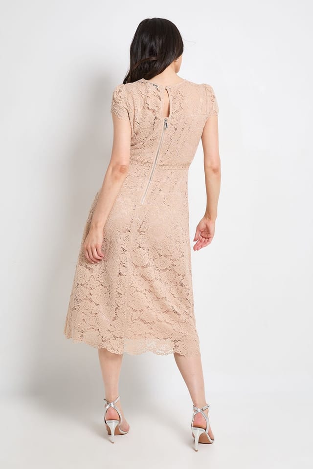 Wallis Wallis Women's Lace Fit & Flare Midi Dress in Mocha - 3