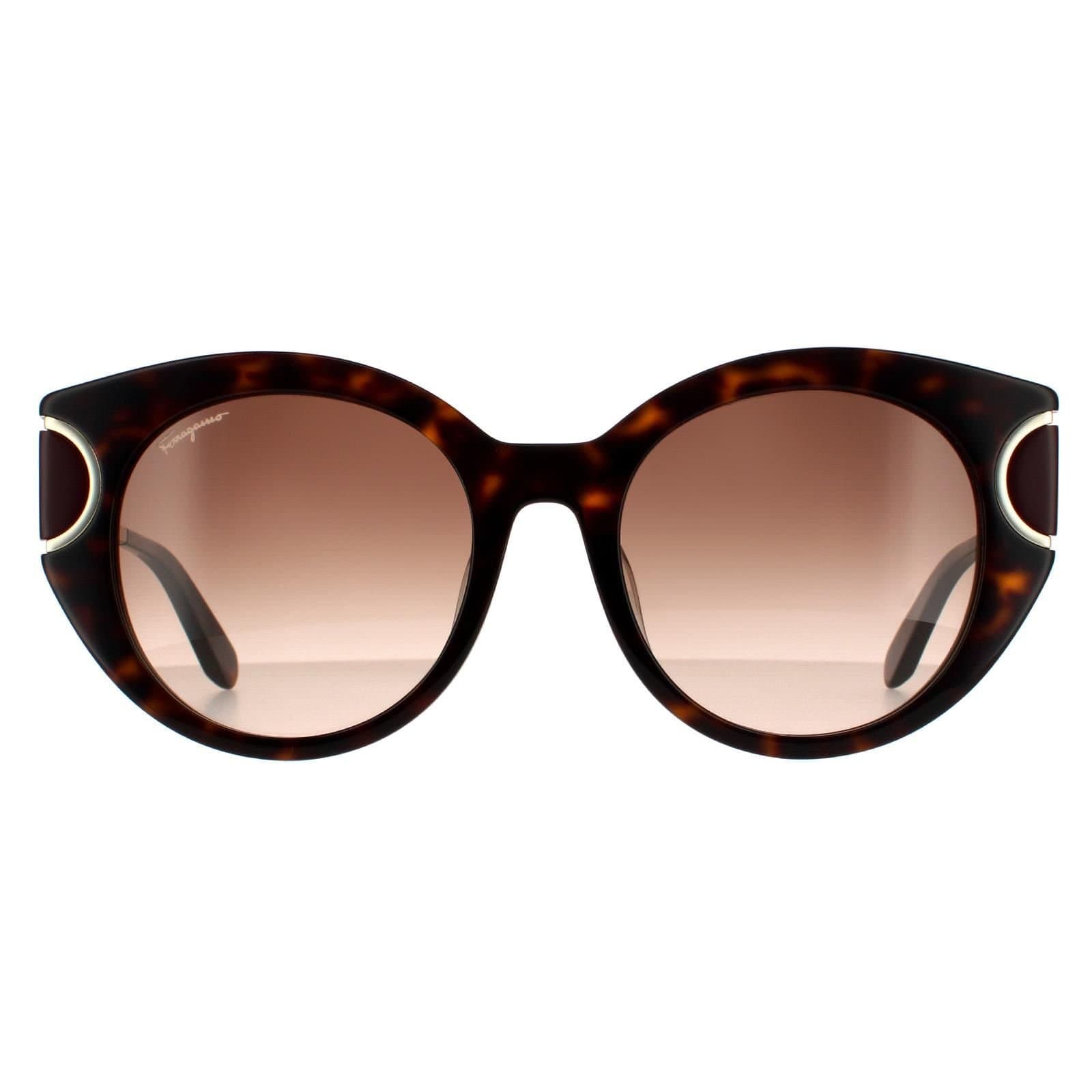 Salvatore Ferragamo Salvatore Ferragamo Women's Cat Eye Tortoise Brown Gradient Sunglasses