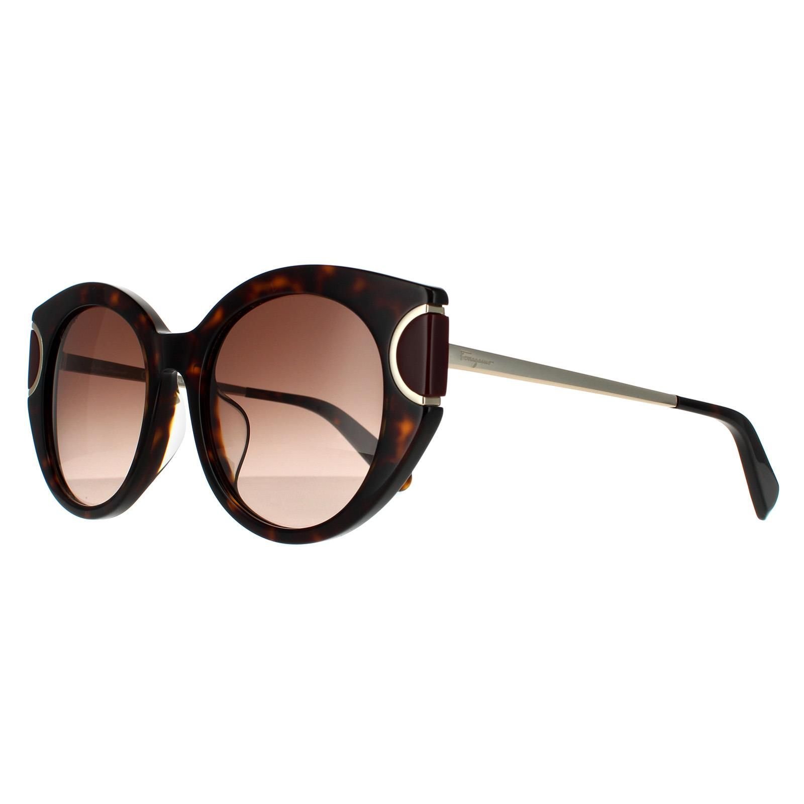 Salvatore Ferragamo Salvatore Ferragamo Women's Cat Eye Tortoise Brown Gradient Sunglasses - 2