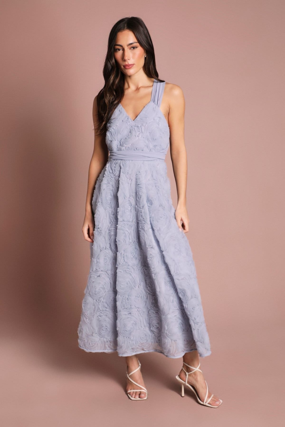 Coast Pale Blue Embroidered Mesh Floral Midi Dress