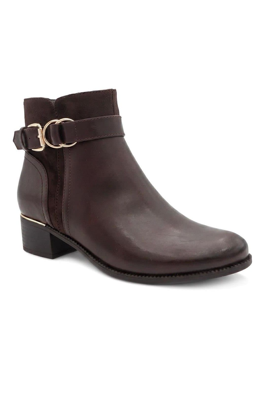 Bellissimo Bellissimo Women's Buckle Detail Ankle Boots in Brown