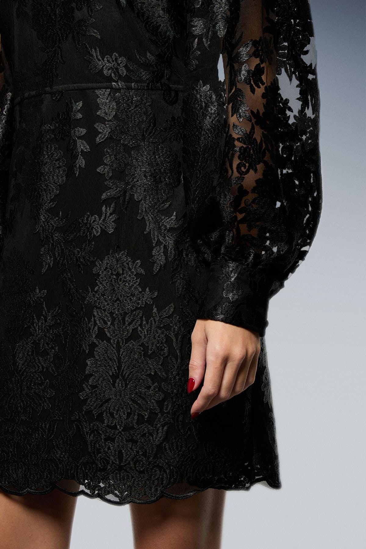 Oasis Oasis Women's Embroidered Mesh Sweetheart Neck Mini Dress in True Black - 4