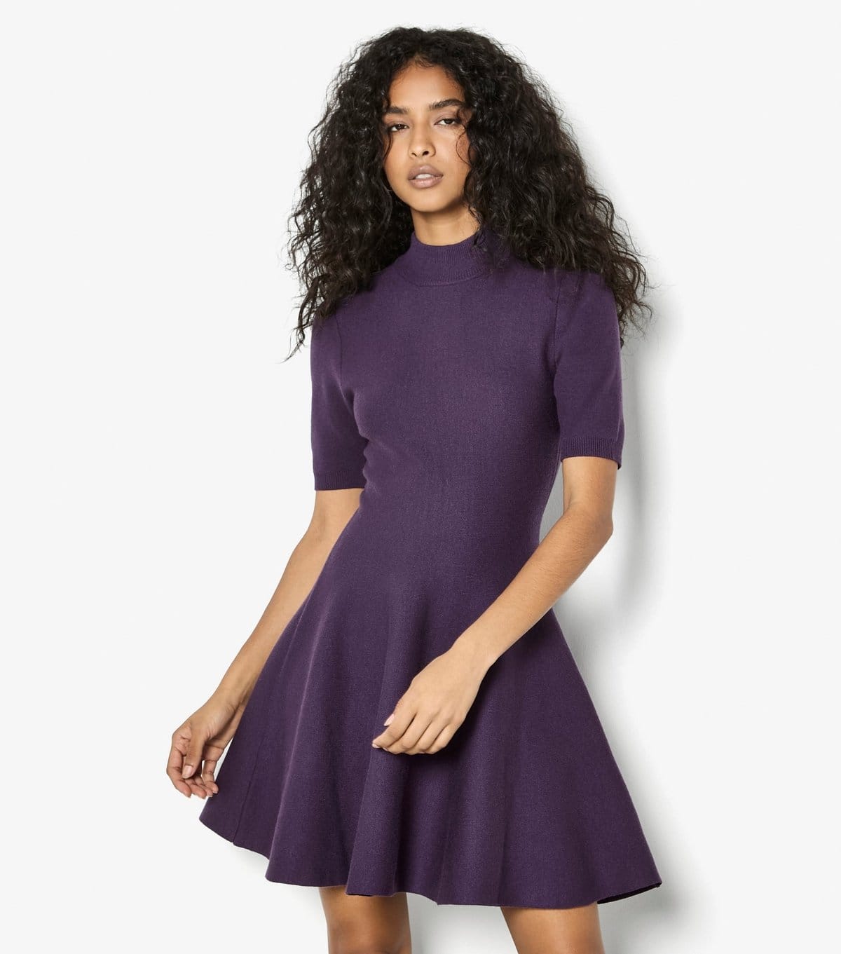 Apricot Dark Purple Fit and Flare Jersey Mini Dress