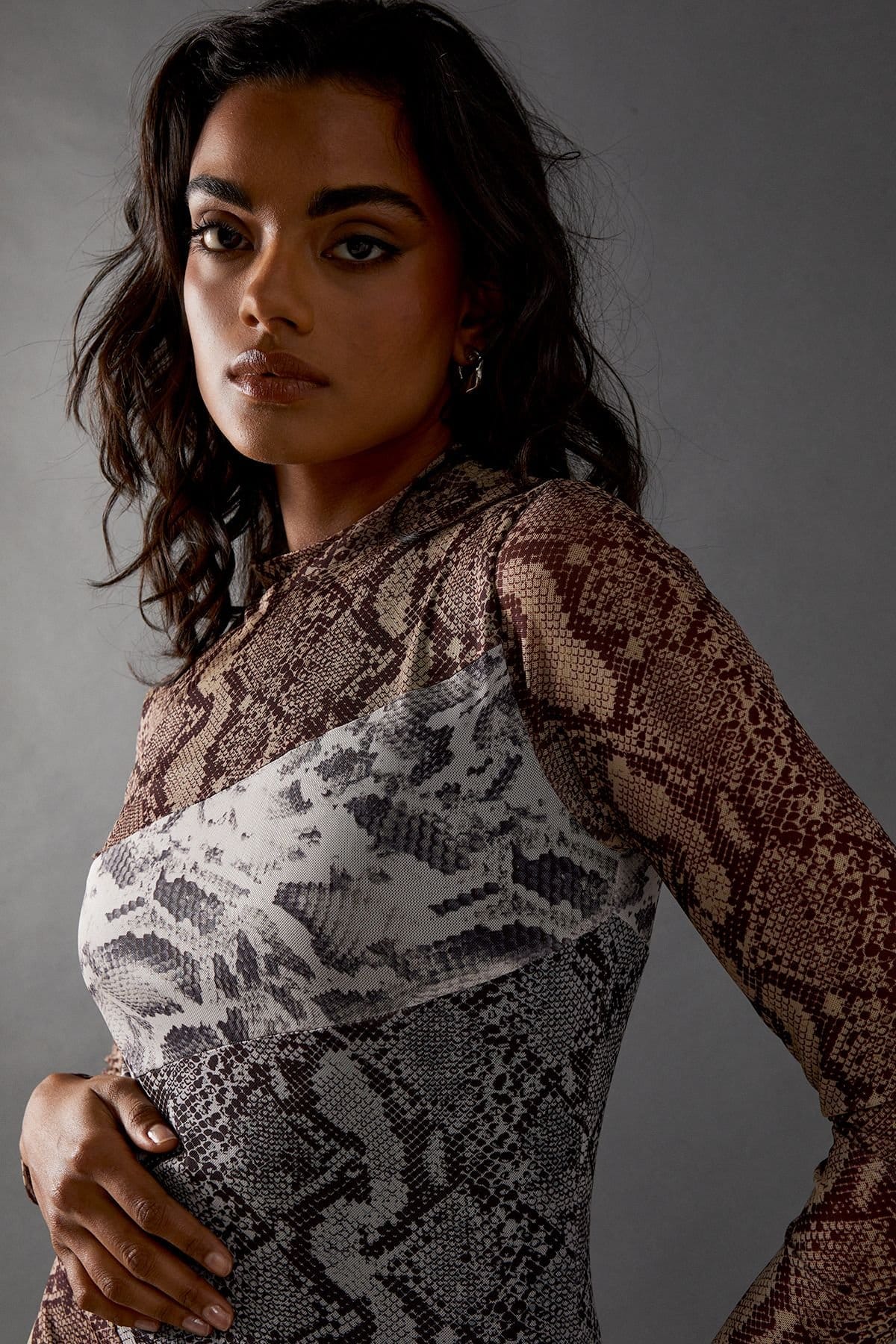 Warehouse Warehouse Women's Snake Panelled Print Mesh Midi Dress - 4