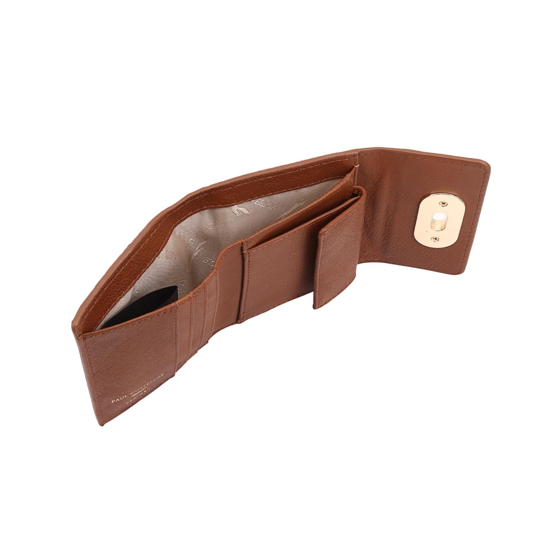 Paul Costelloe Paul Costelloe Women's Baro Leather Purse in Brown - 4