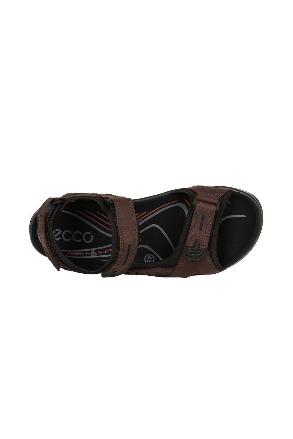 ECCO Ecco Men's 'Yucatan' Rip Tape Fastening Sandals in Chocolate - 4