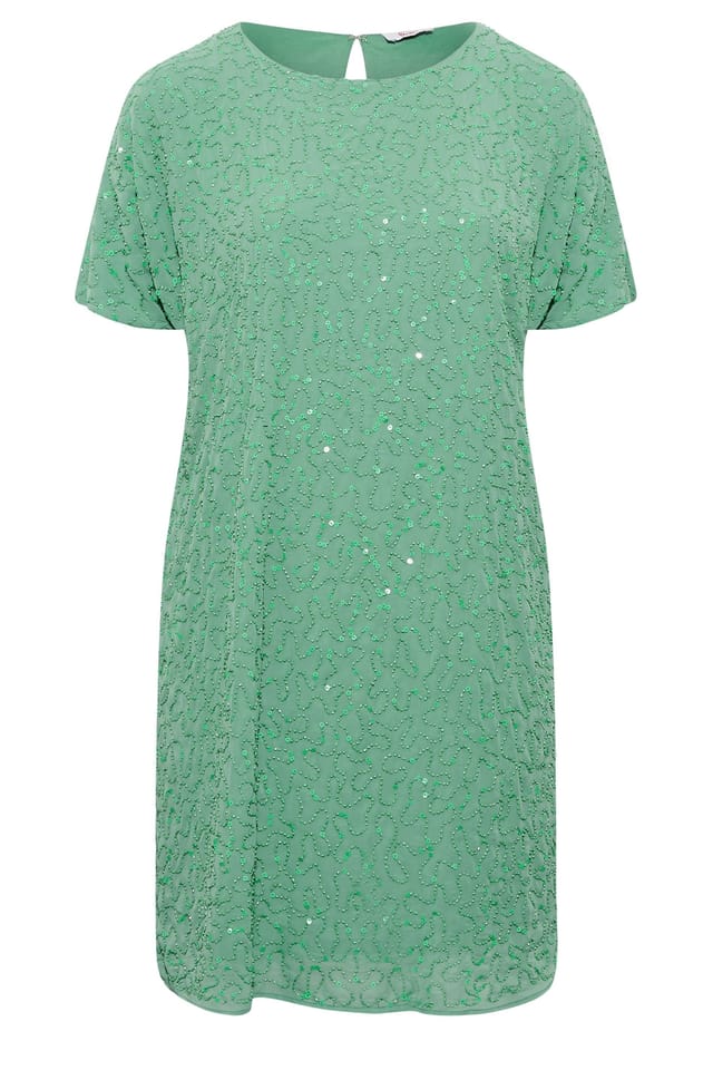 Yours Yours Women's Embellished Shift Dress in Pale Green - 2