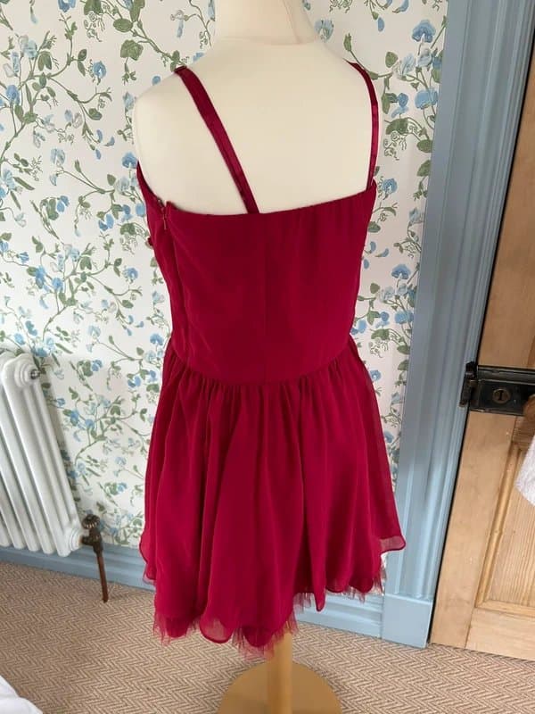 Frock and Frill Gorgeous 3D red floral mini dress