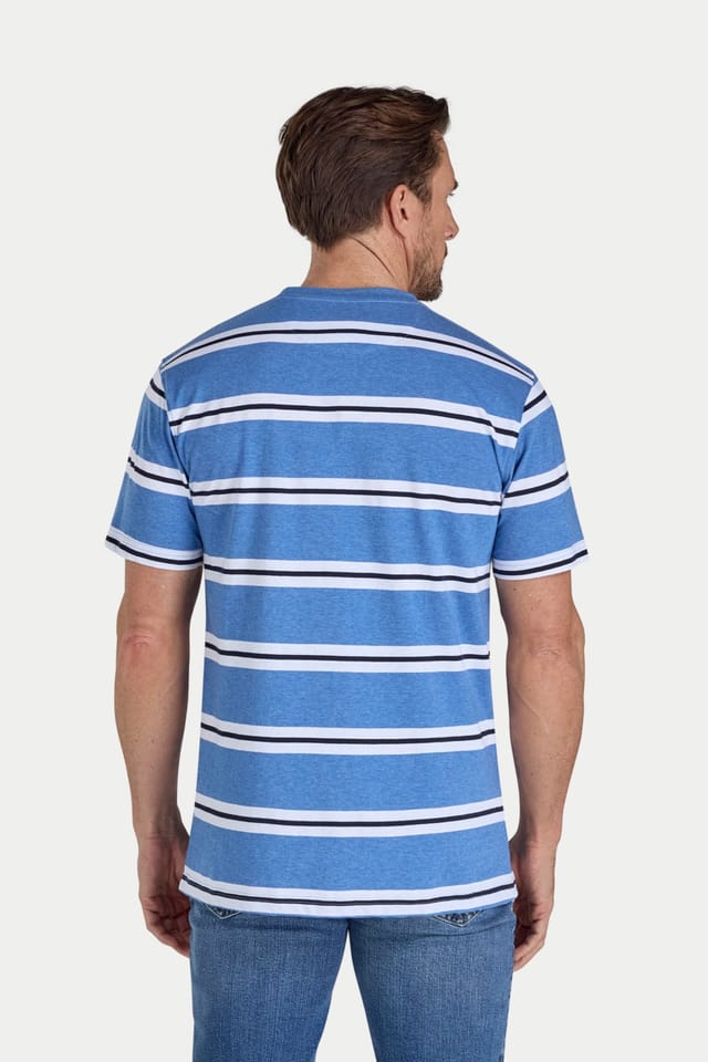 raging bull Raging Bull Men's Yarn Dyed Stripe T-Shirt in Blue - 2