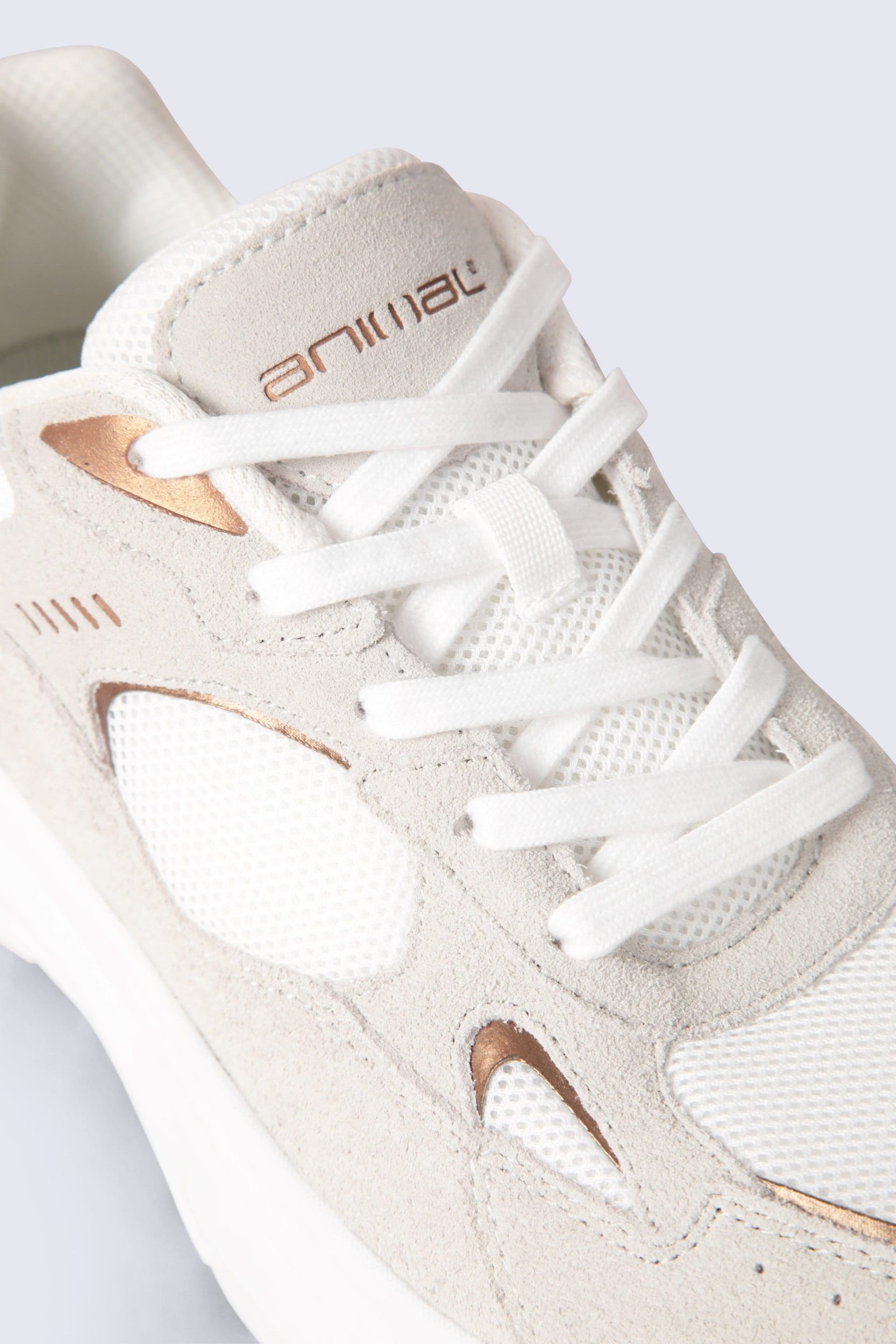 Animal Animal Women's 'Ezra' Comfortable Quick Wicking Every Day Lace Up Leather Trainers in Beige - 4