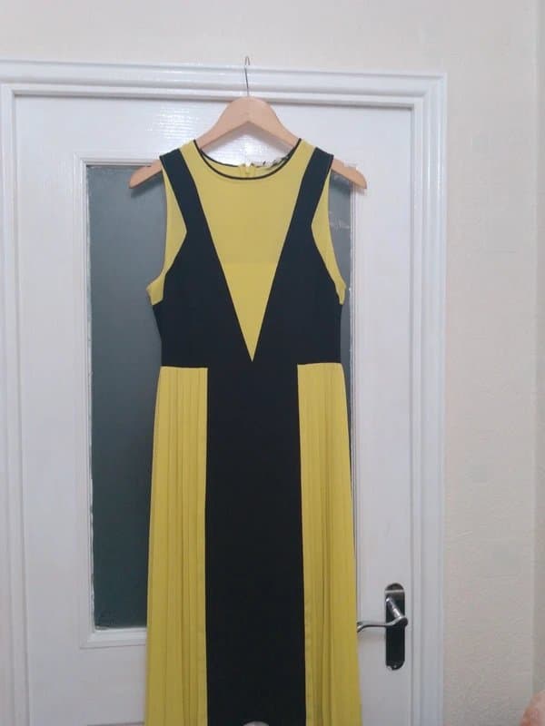 Next Chiffon dress