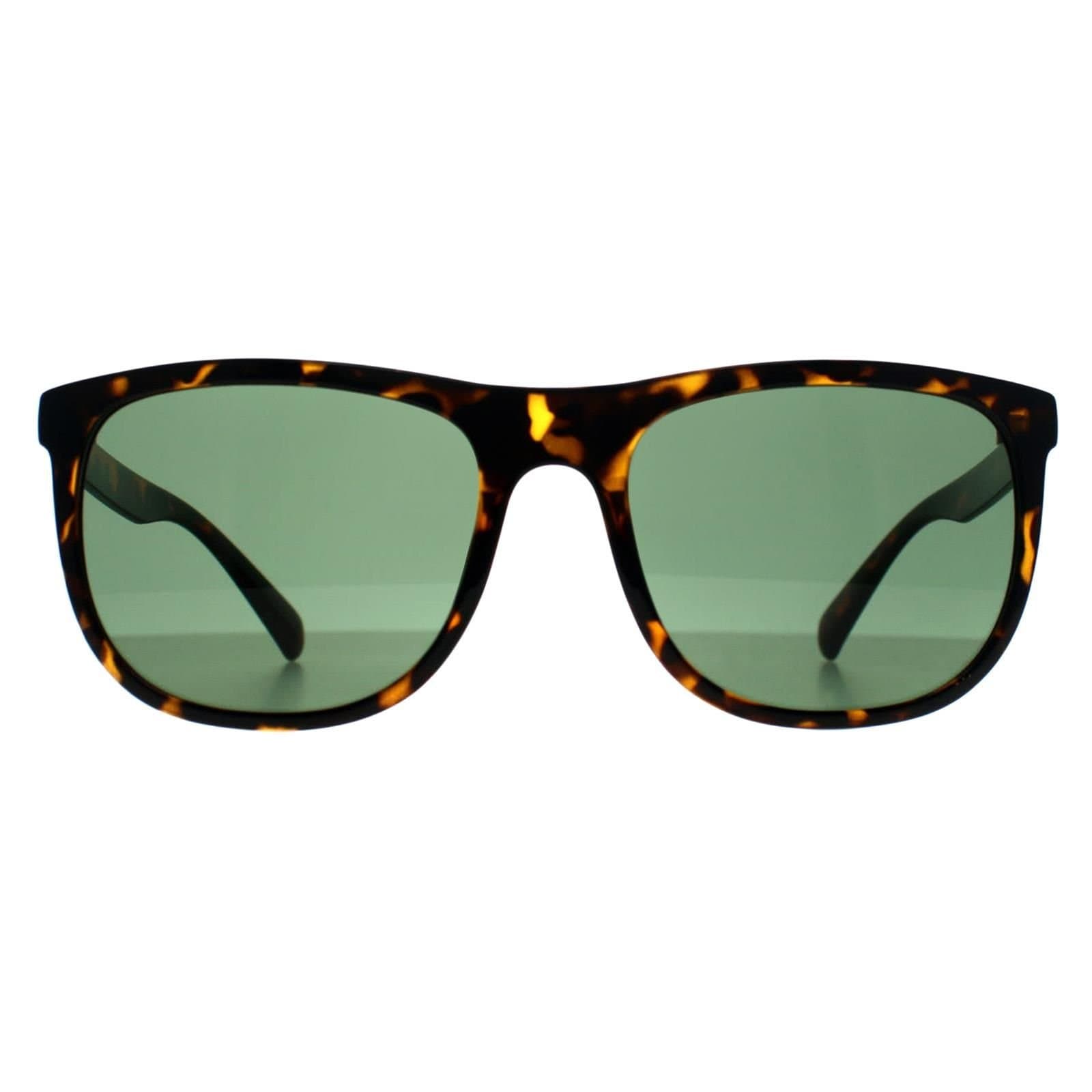 Calvin Klein CALVIN KLEIN Women's Square Shiny Havana Green CK22557S in Brown