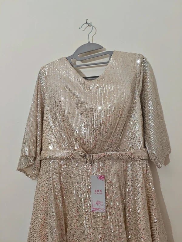 No Label Exquisite Sequin-Embellished Long Gown with Dramatic Flared Skirt