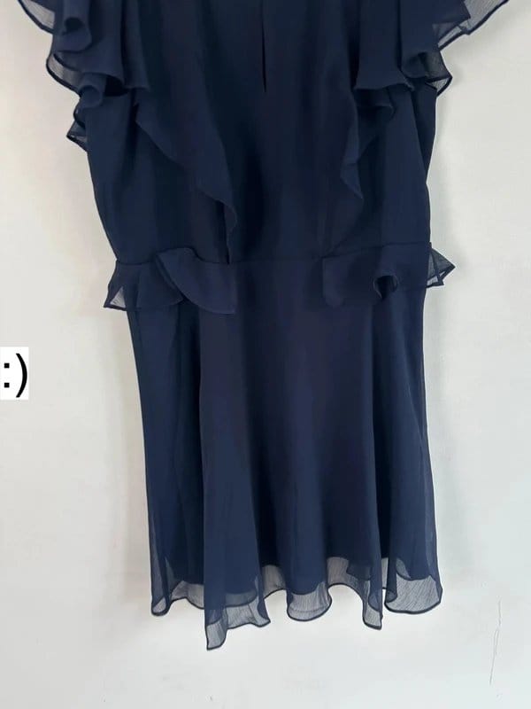 Ted Baker Navy Chiffon Fit-and-Flare Skater Dress