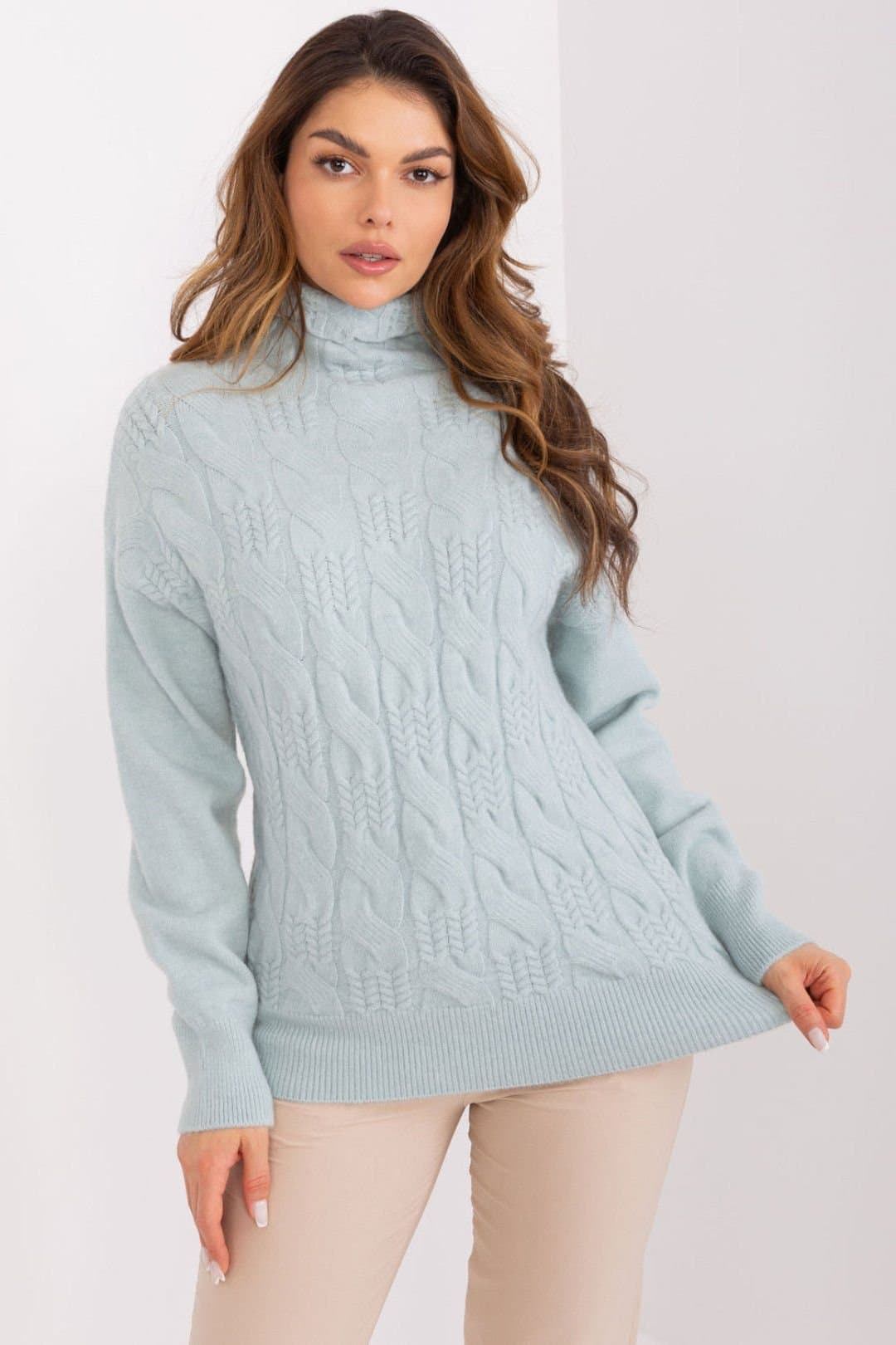 Love Lace Love Lace Women's Textured Knit Turtleneck Sweater for Daily Wear in Mint