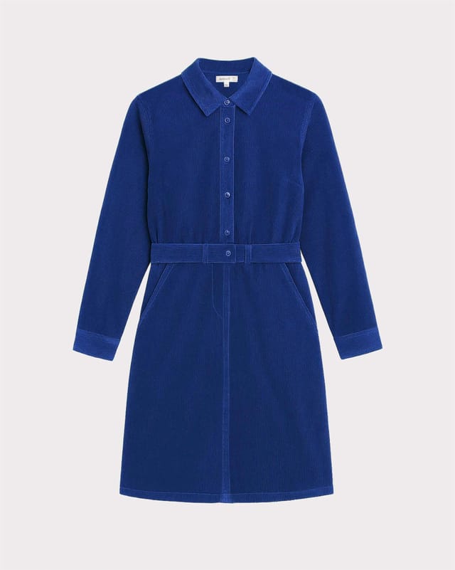 Kettlewell Kettlewell Women's Jamie Cord Dress in Cobalt - 2