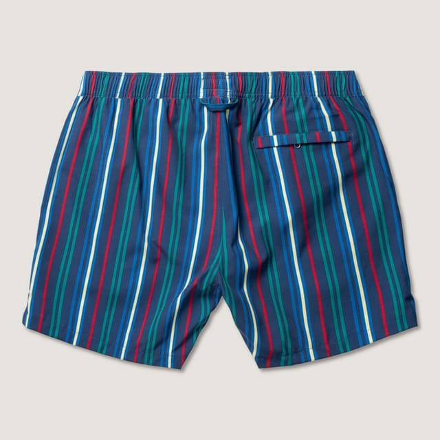 Panos Emporio Panos Emporio Men's Classic pinstripe Swimshort in Blue - 3