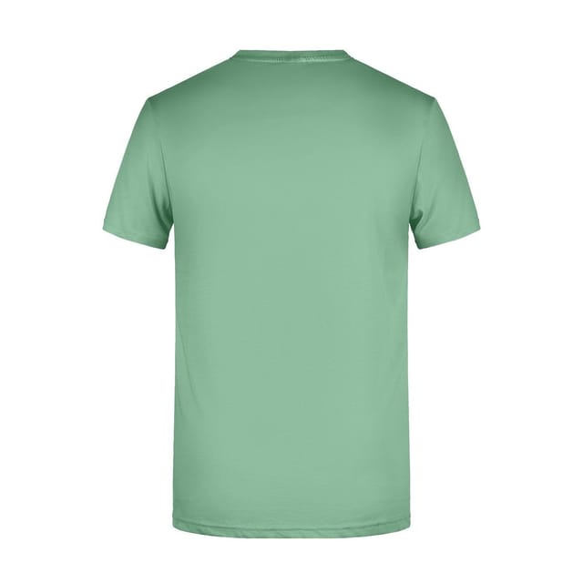 James and Nicholson James and Nicholson Men's Basic T-Shirt in Jade - 2