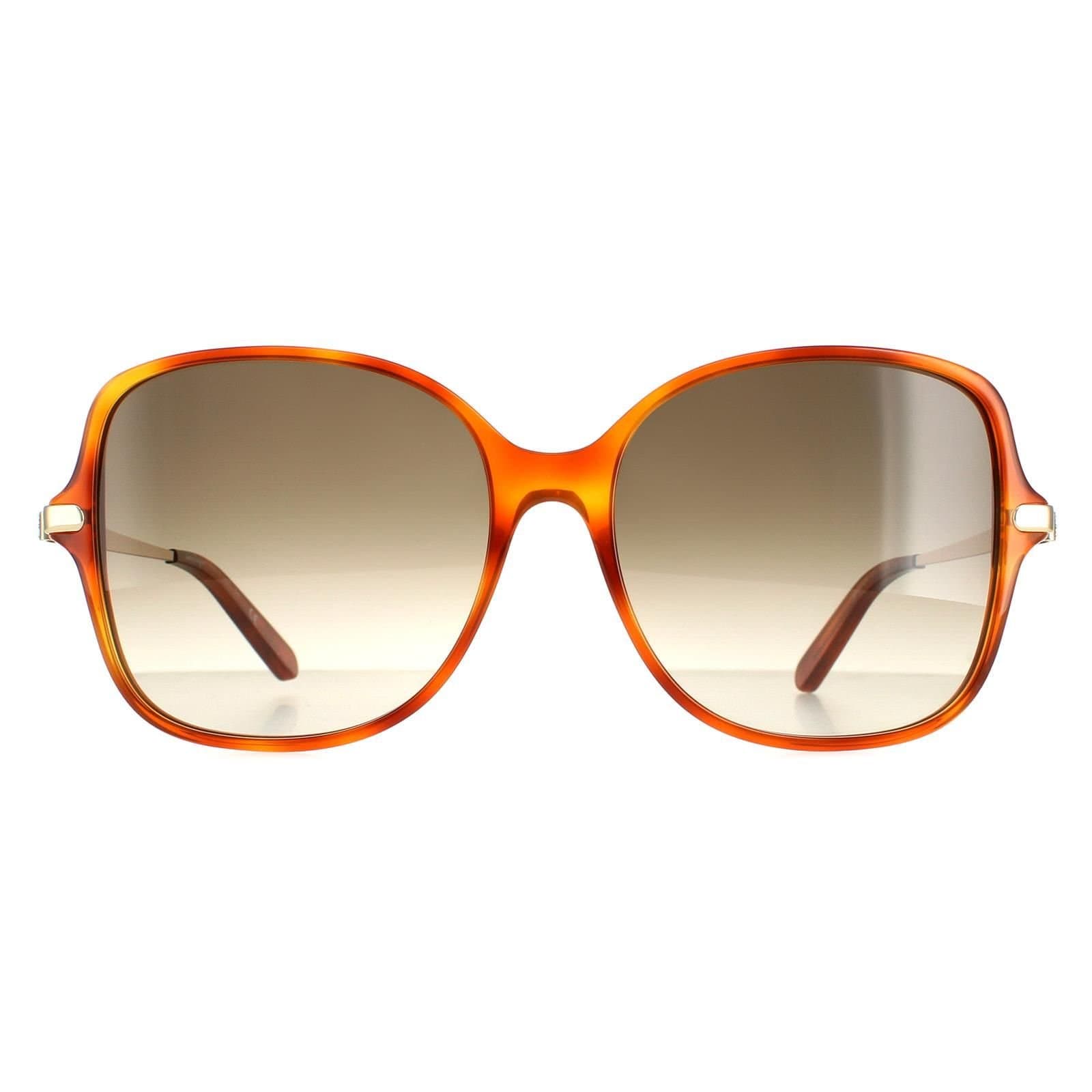 Salvatore Ferragamo Salvatore Ferragamo Women's Square Tortoise Grey Gradient SF990SR in Brown