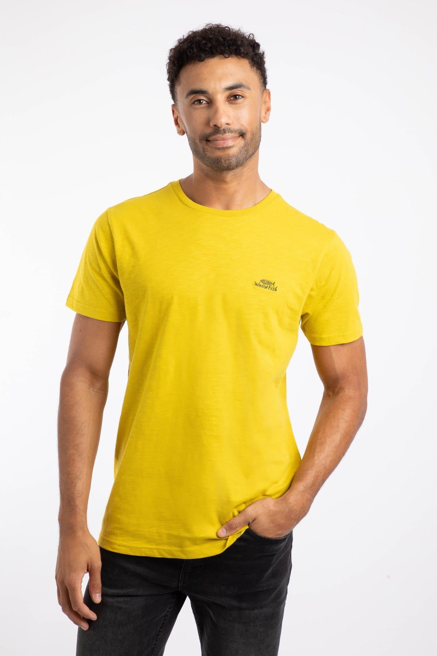 Weird Fish Weird Fish Men's Fished Branded T-Shirt in Light Green