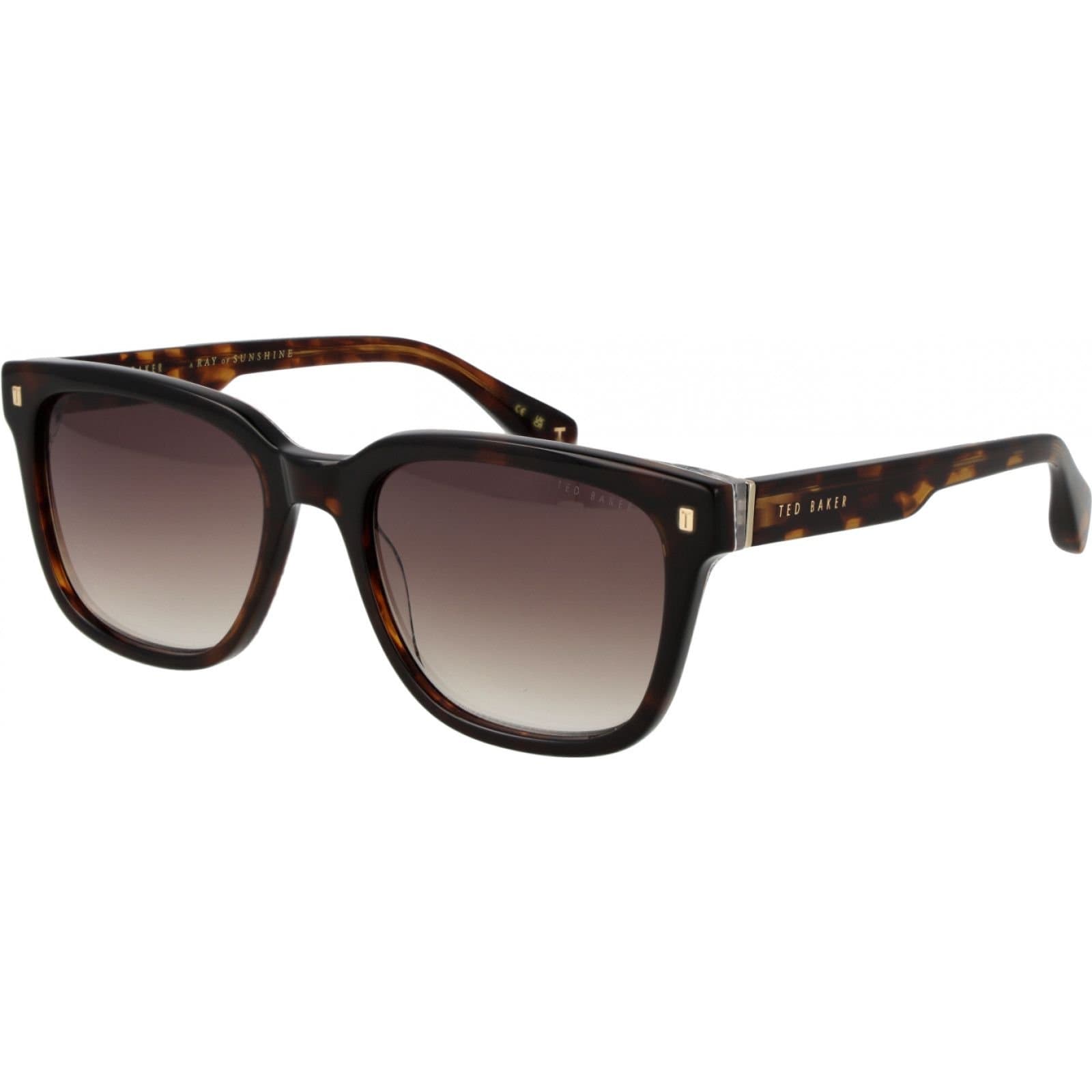 Ted Baker Ted Baker Men's TB1754 54119 Square/Rectangle Sunglasses in Brown