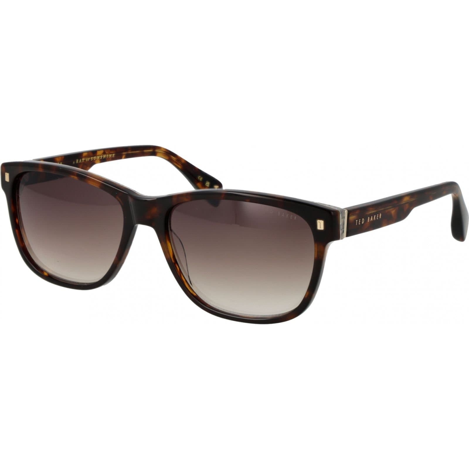 Ted Baker Ted Baker Men's TB1753 58119 Square/Rectangle Sunglasses in Brown