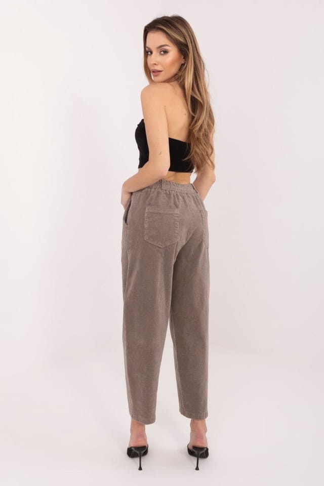 Love Lace Love Lace Women's Stylish High Waist Corduroy Carrot Pants in Beige - 2