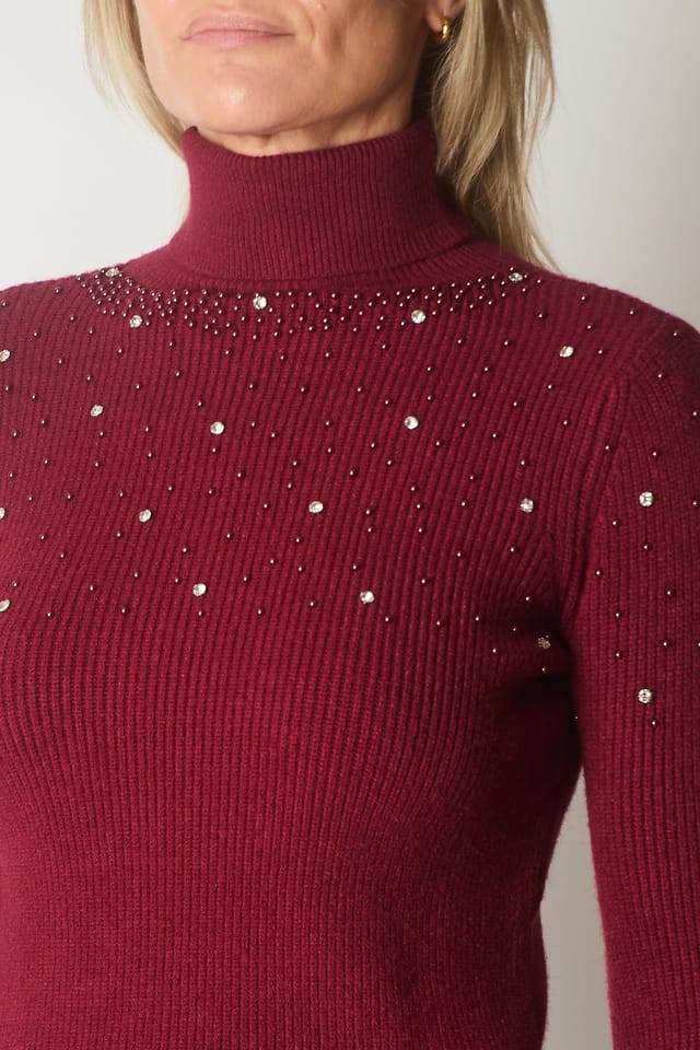 SOLO SOLO Women's Embellished Roll Neck Jumper in Wine - 3