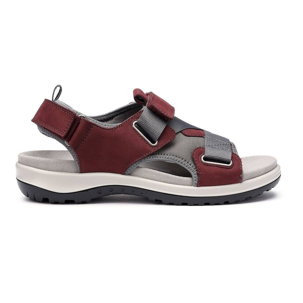 Hotter Hotter Women's 'Pursue' Sandals in Maroon - 3