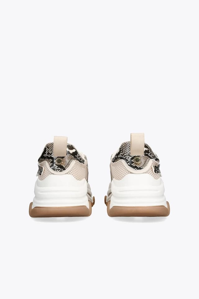Steve Madden STEVE MADDEN Women's 'Possession' Trainers in Bronze - 3