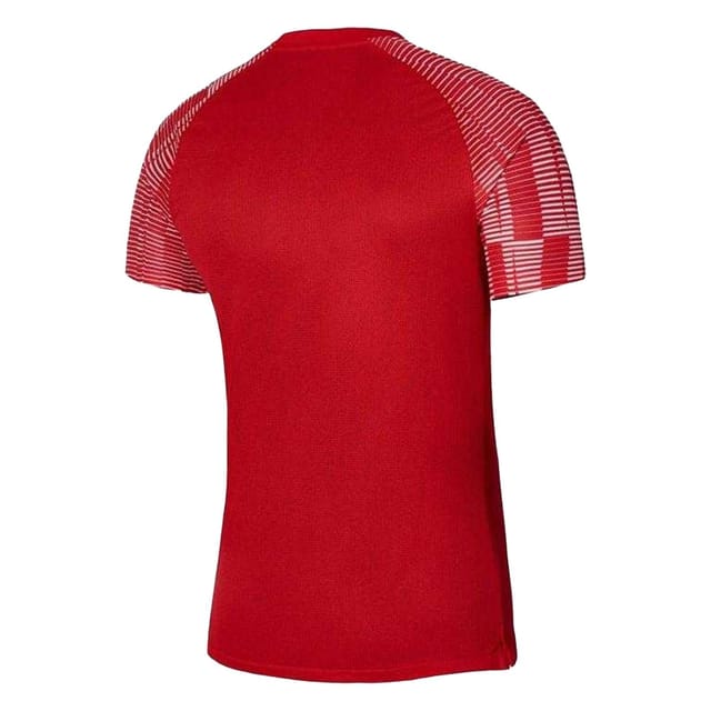 Nike Nike Men's Academy Dri-FIT Jersey in Red - 2