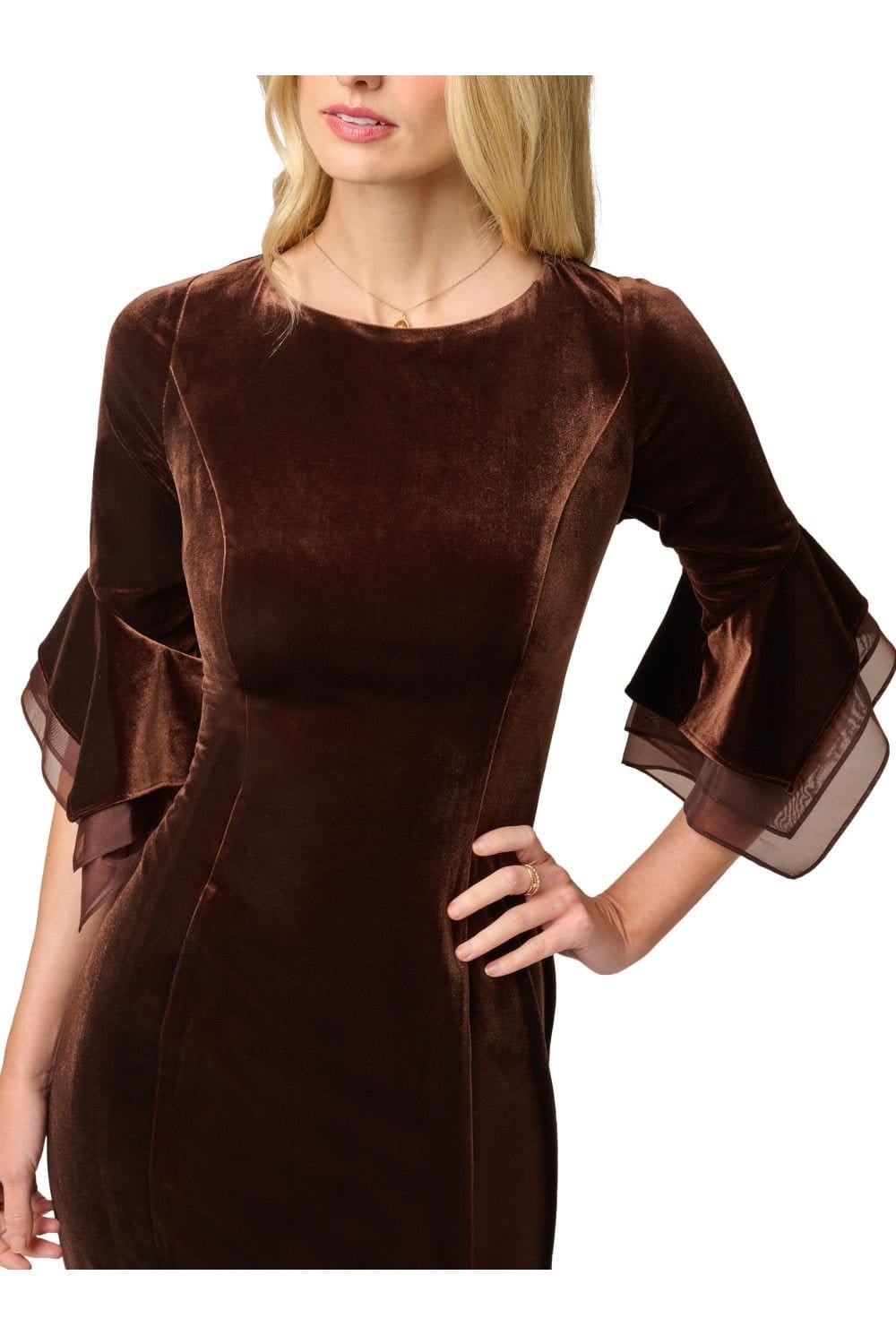 Adrianna Papell Adrianna Papell Women's Velvet Bell Sleeve Short Dress in Brown - 4
