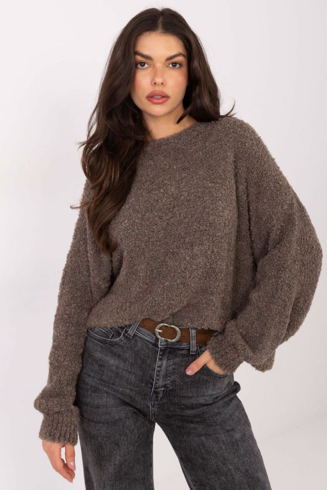 Love Lace Love Lace Women's Oversized Casual Round Neck Sweater Puff Sleeve in Brown
