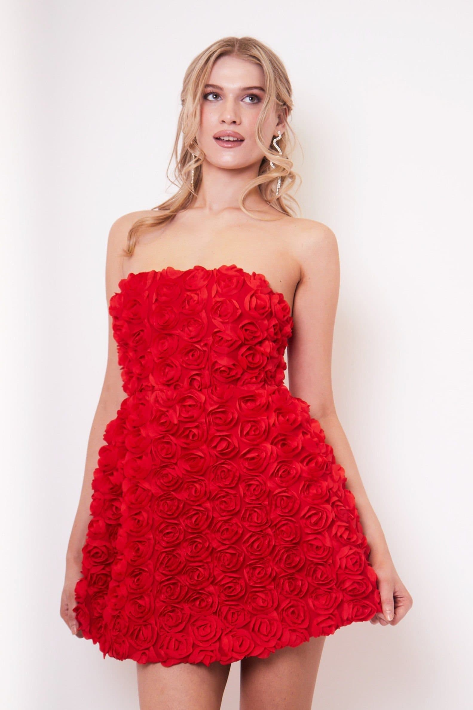 Jaded Rose Jaded Rose Women's Jumi Red Rose Appliqué A Line Mini Dress