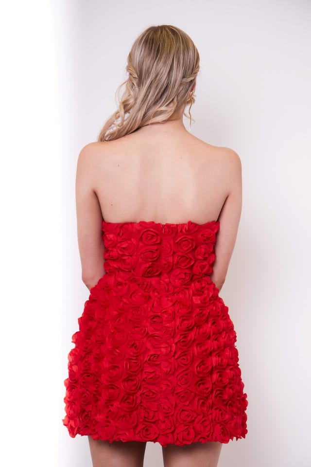 Jaded Rose Jaded Rose Women's Jumi Red Rose Appliqué A Line Mini Dress - 2