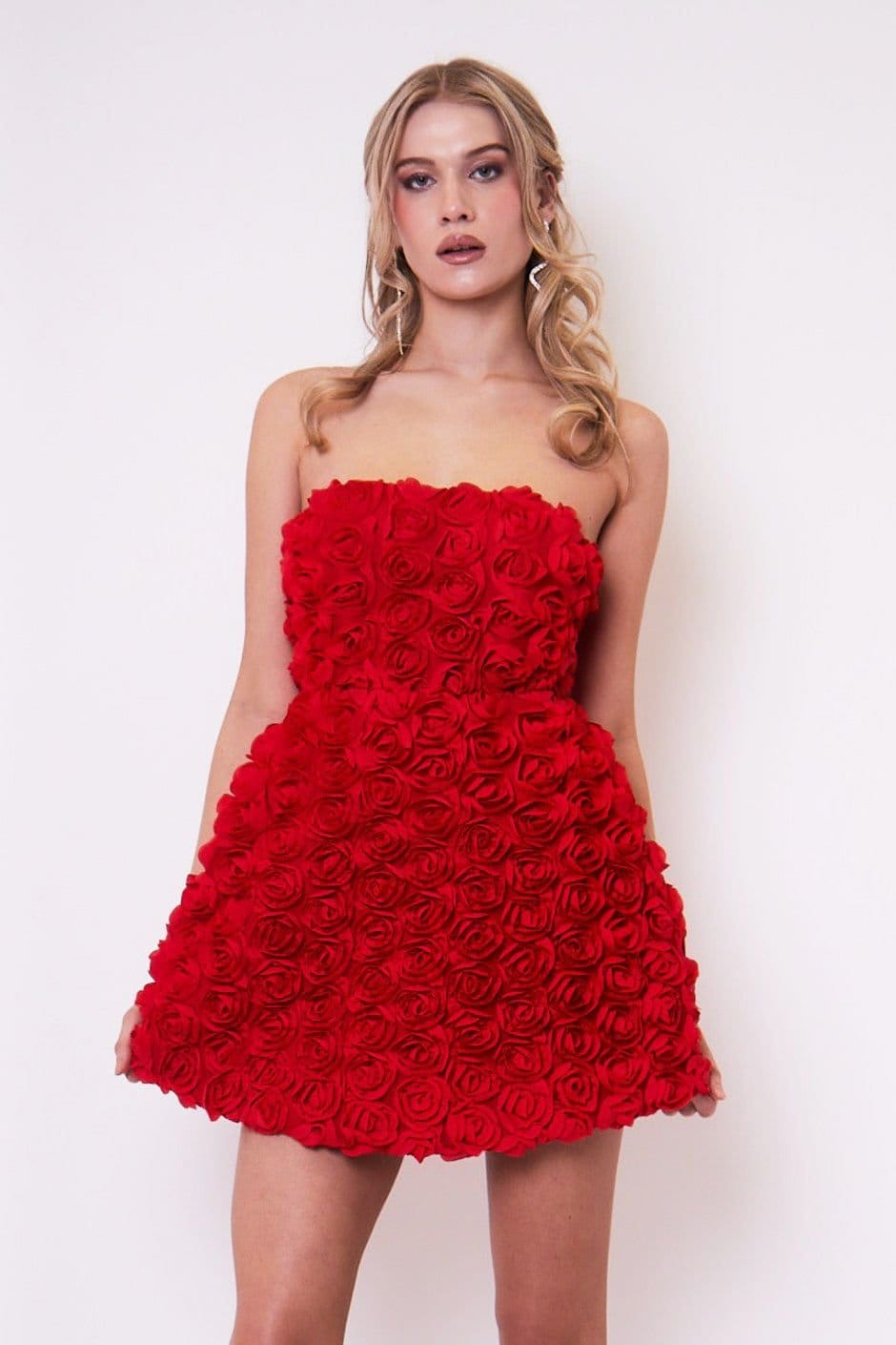 Jaded Rose Jaded Rose Women's Jumi Red Rose Appliqué A Line Mini Dress - 4