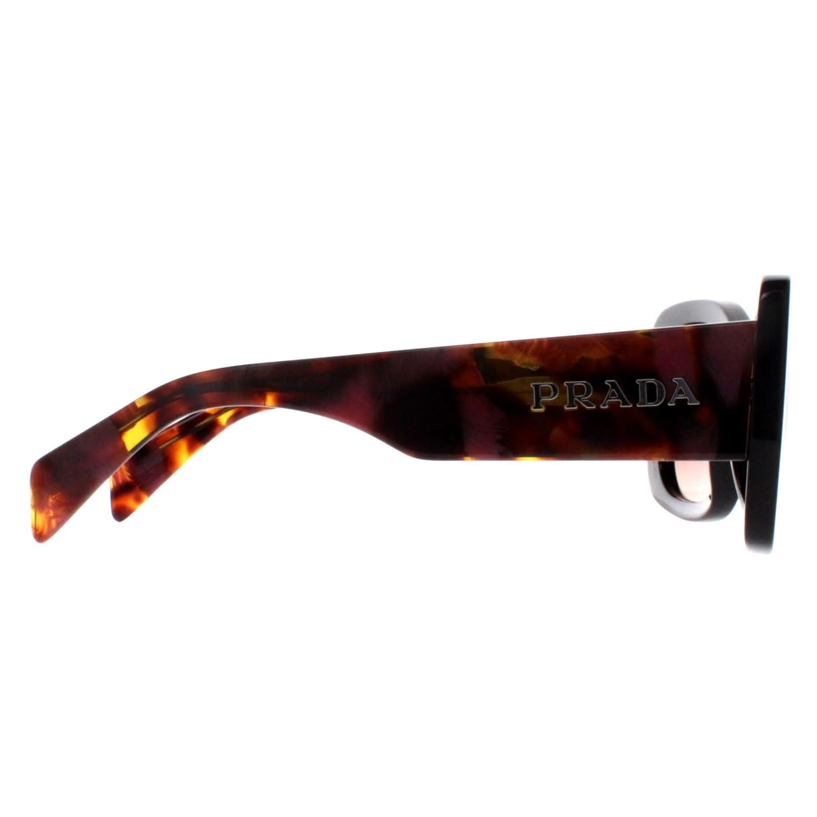 Prada Prada Women's Oval Mahogany Brown Gradient PRA08S in Black - 4